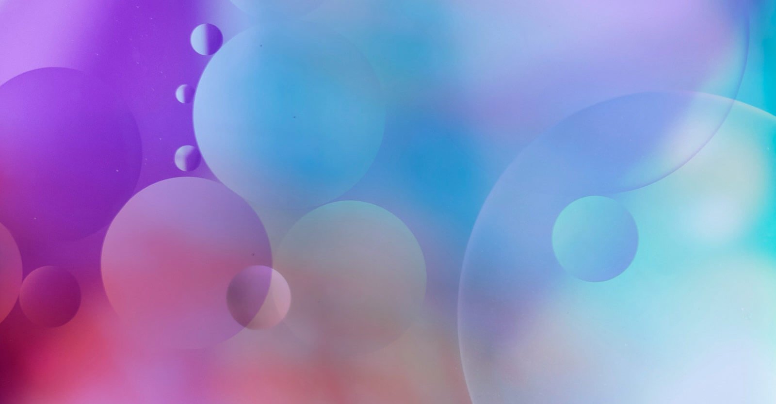 Lung Cancer Biopsy: Types, Procedure, Risks, and What Patients Should Expect