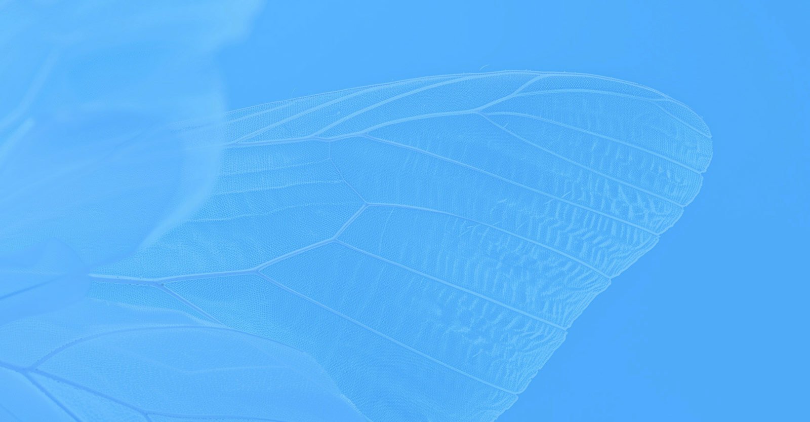 Common EGFR Mutations in Metastatic Lung Cancer: Targeted Therapies and Treatment Strategies