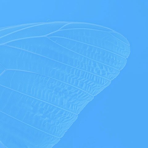 Common EGFR Mutations in Metastatic Lung Cancer: Targeted Therapies and Treatment Strategies