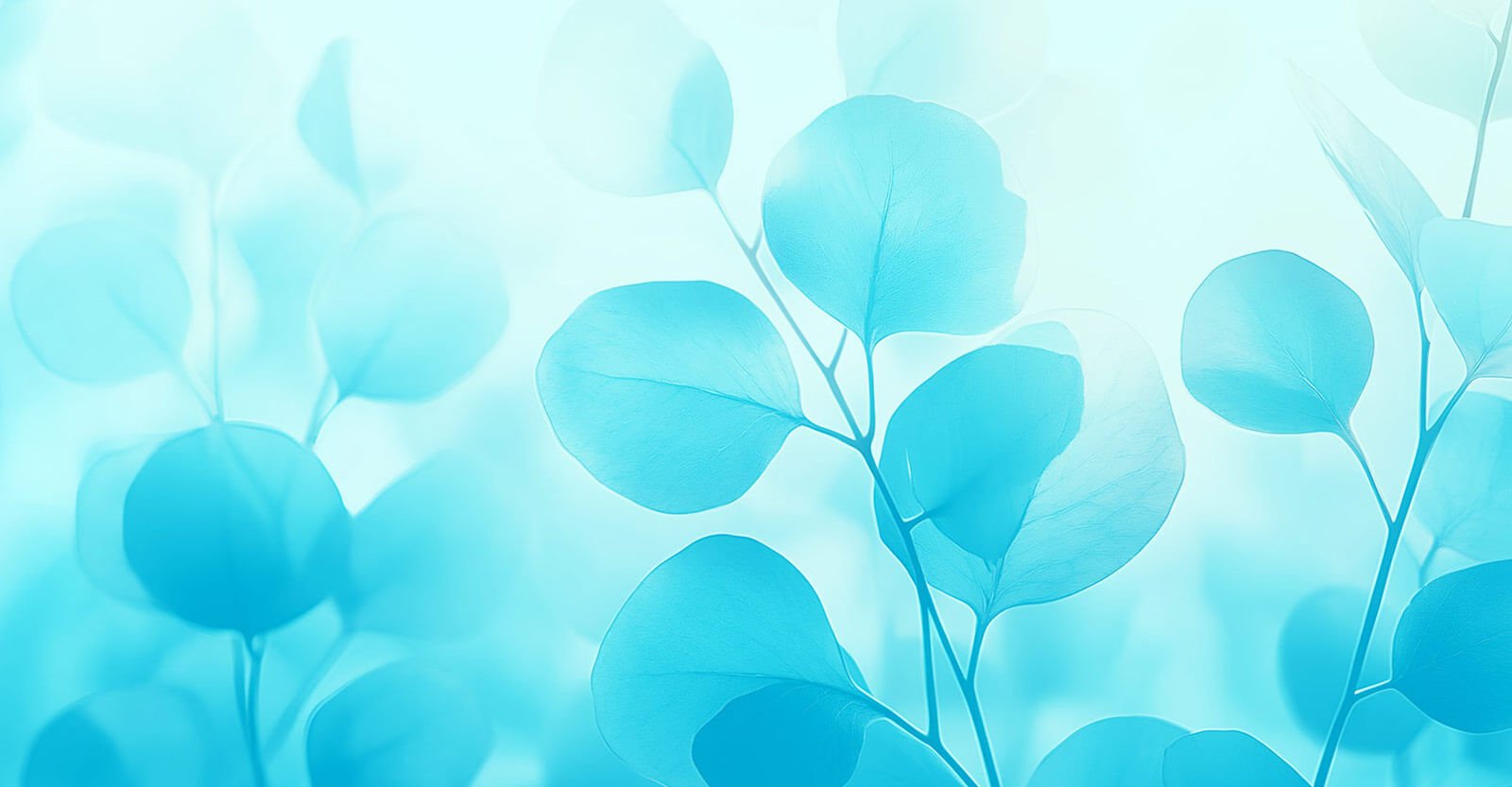 Treatment Options for Lung Cancer in the UK: From Chemotherapy to Immunotherapy