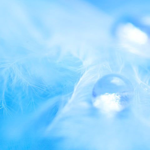 Novel Therapies in Small Cell Lung Cancer: Emerging Treatments and Future Directions