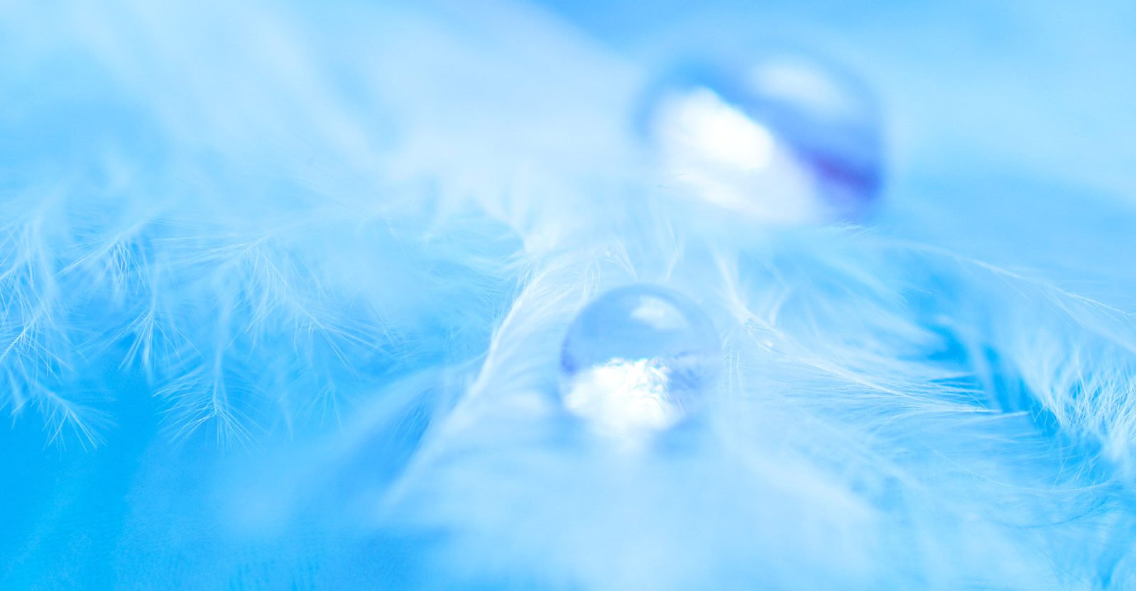 Novel Therapies in Small Cell Lung Cancer: Emerging Treatments and Future Directions