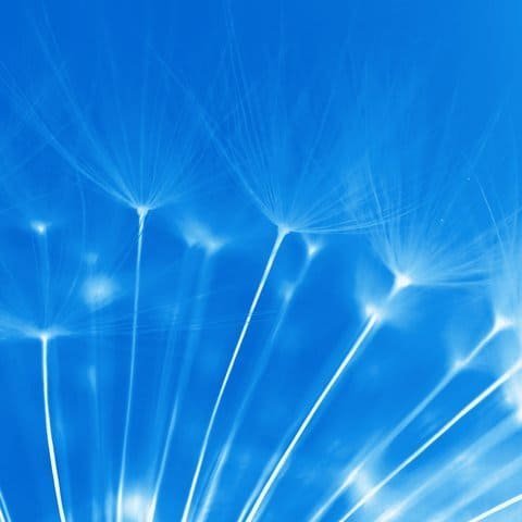 Living With Mesothelioma: What Patients and Families Should Know