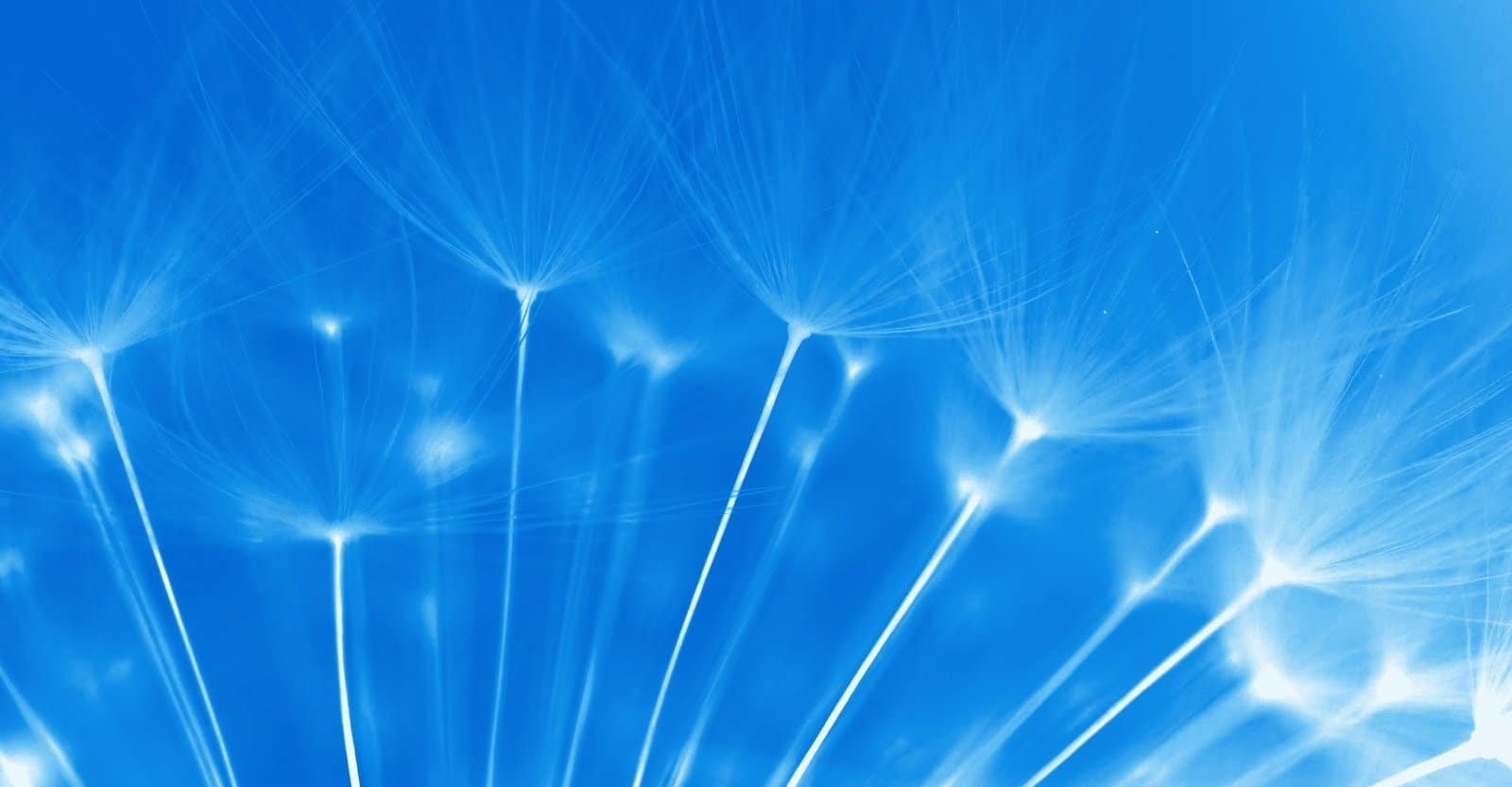 Living With Mesothelioma: What Patients and Families Should Know